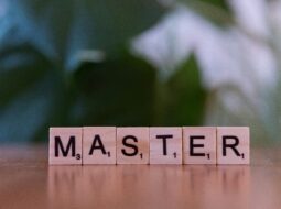 Mastering Franchise Growth How Expert Consulting Services Propel Your Success