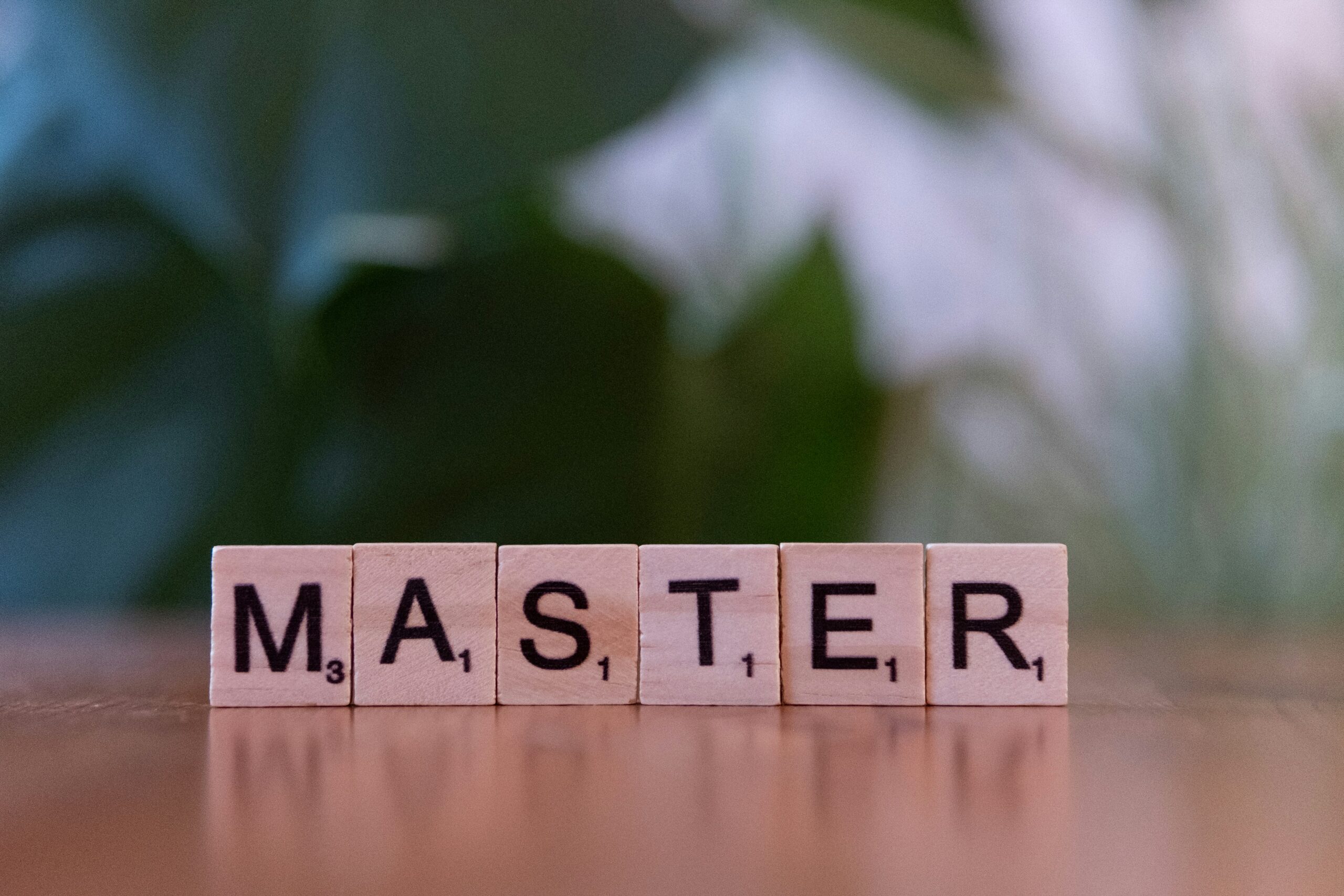 Mastering Franchise Growth How Expert Consulting Services Propel Your Success